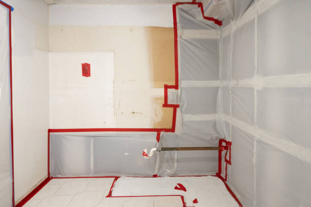 Best Crawl Space Mold Remediation  in Sleepy Eye, MN