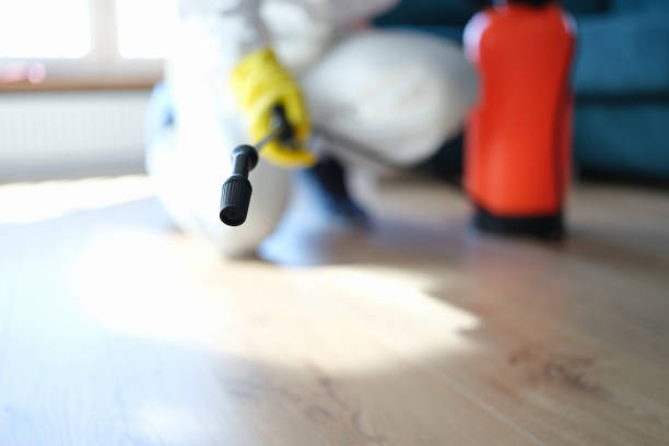 Best HVAC Mold Inspection and Cleaning  in Sleepy Eye, MN