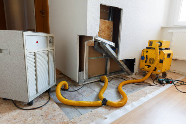 Best Post-Remediation Verification Testing  in Sleepy Eye, MN